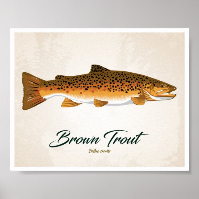 Affiche Brown Trout (Devant)
