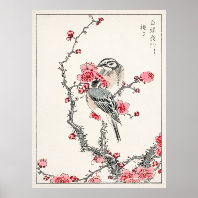 Affiche Bruant des pins sur prunier par Numata Kashu (Devant)