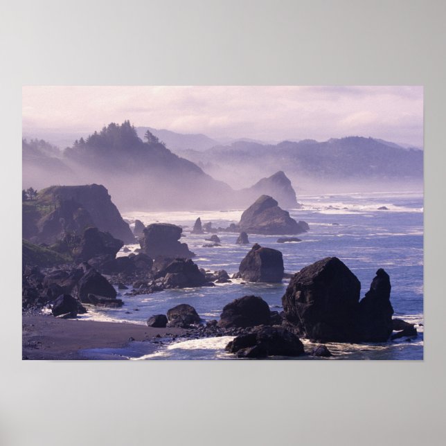 Affiche Bruant matinal le long de la côte de l'Oregon près (Devant)