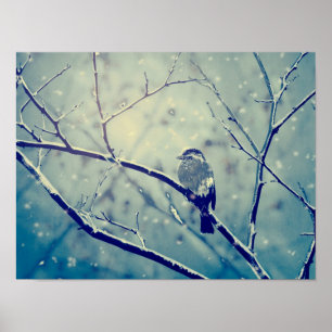 Affiche Bruant sur la branche enneigée