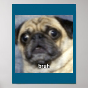 Affiche Bruh drôle surpris Pug Chien Flou