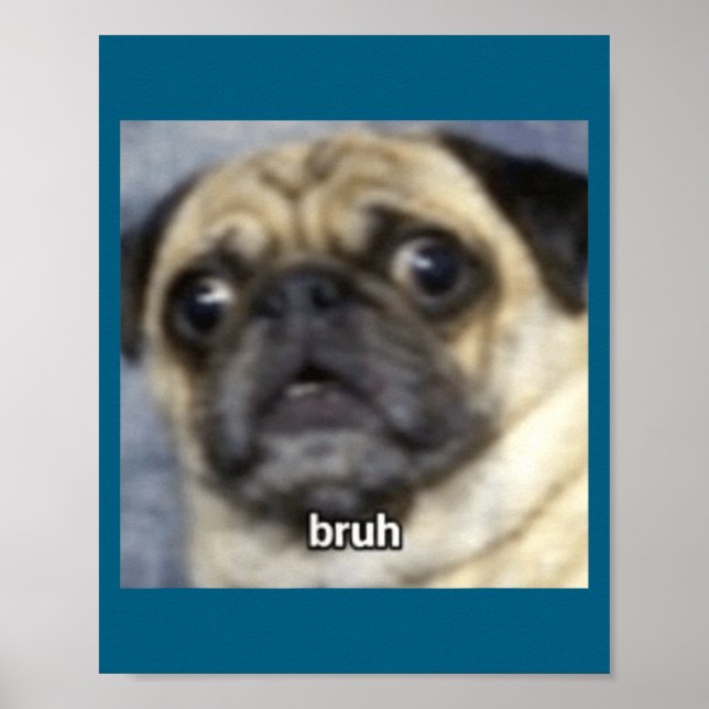 Affiche Bruh drôle surpris Pug Chien Flou (Devant)