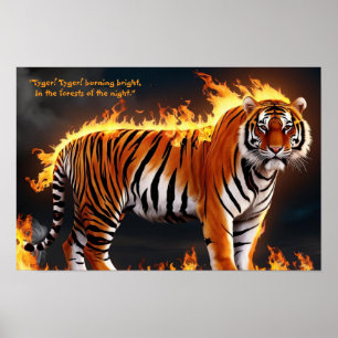 Affiche Brûlage du tigre