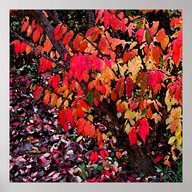 Affiche Brûler Bush Abstrait (Devant)