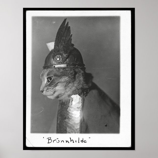 Affiche Brunhild Brunhilda Brynhild Brünhilde Chat (Devant)