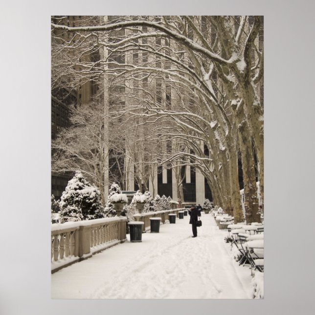 Affiche Bryant Park Neige (Devant)
