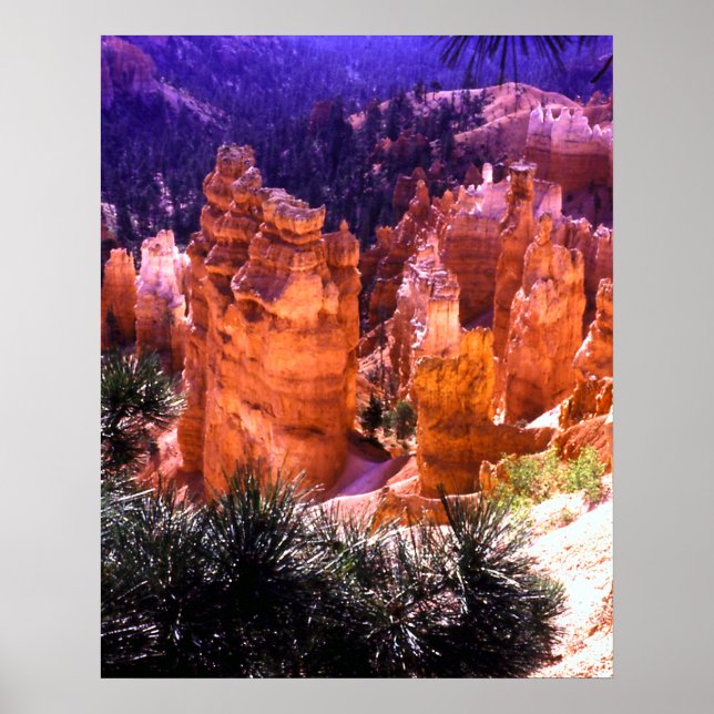 Affiche Bryce Canyon Imprimer (Devant)