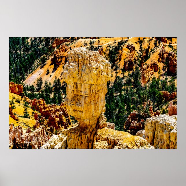 Affiche Bryce Canyon Robot Man (Devant)