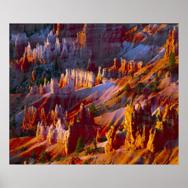 Affiche Bryce Canyon, Utah, États-Unis 2 (Devant)