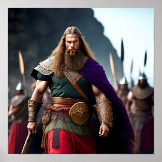 Affiche Brynjar le Viking