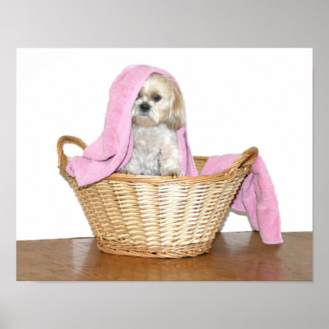 Affiche Buanderie (Devant)