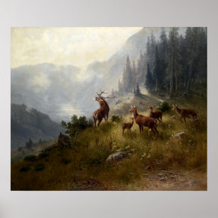 Affiche Buck & Doe Deer Herd Dans Le Paysage Forestier Art