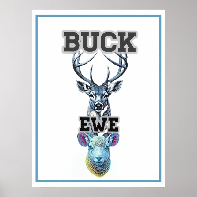 AFFICHE BUCK EWE  (Devant)