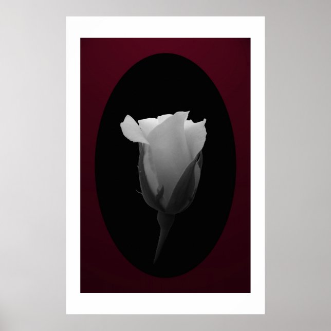 Affiche Bud rose (noir et blanc) (Devant)