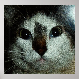 Affiche Bud Sérieux