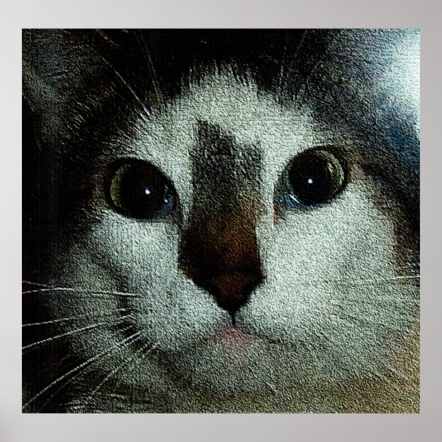 Affiche Bud Sérieux (Devant)