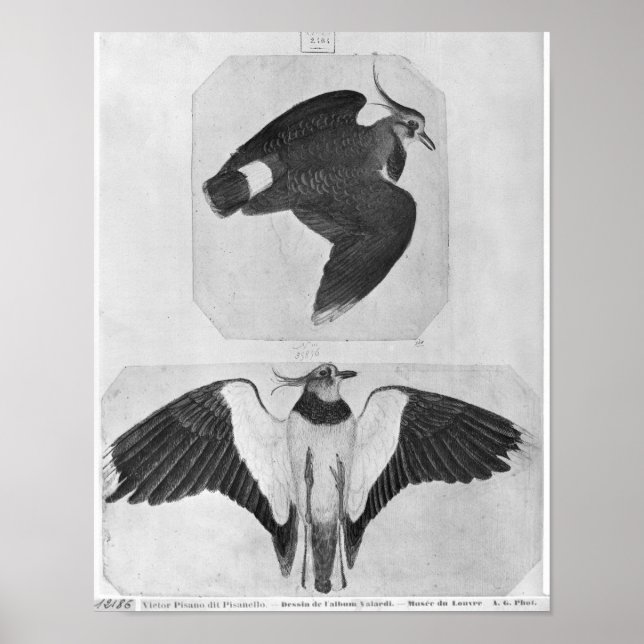 Affiche Budgets, de l'Album Vallardi (Devant)