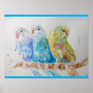 Affiche Budgie Aquarelle Peinture d'oiseau Budgies Aqua Tu