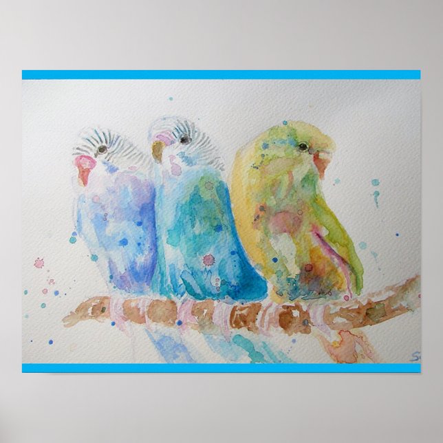Affiche Budgie Aquarelle Peinture d'oiseau Budgies Aqua Tu (Devant)