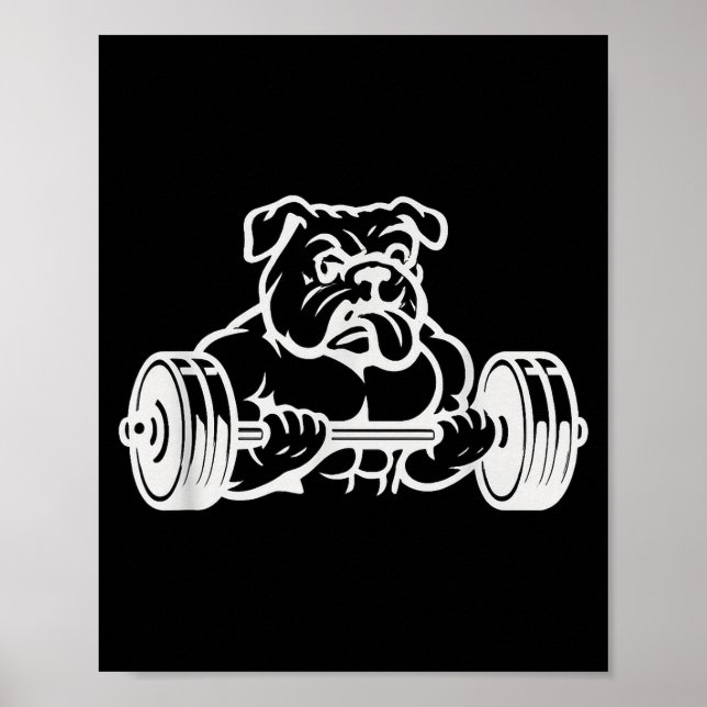 Affiche Buff Strong Bull Dog Lifting Weights  (Devant)