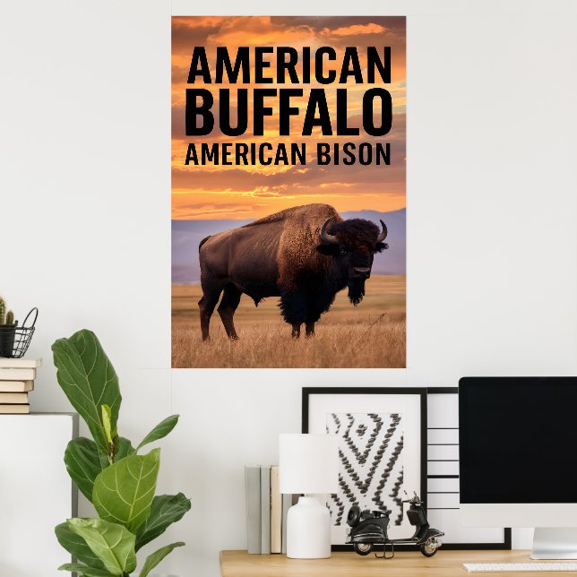 Affiche Buffalo américain (Bureau à domicile)