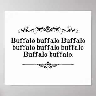 Affiche Buffalo Buffalo Sentence