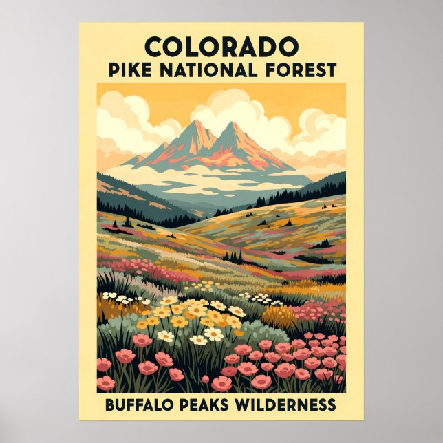 Affiche Buffalo Peaks Wilderness V01 (Devant)