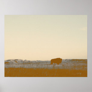 Affiche Buffle Lone Rustique Photo Des Badlands