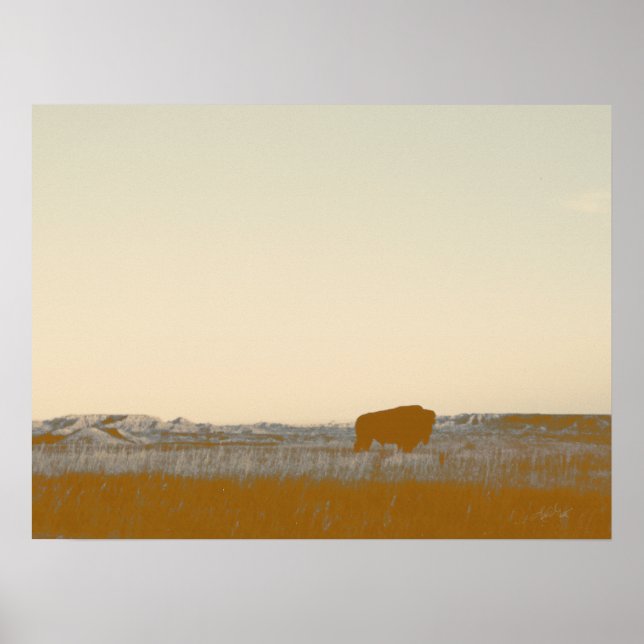 Affiche Buffle Lone Rustique Photo Des Badlands (Devant)