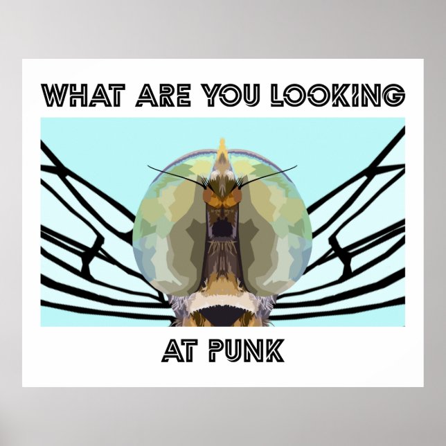 AFFICHE BUG 1 (Devant)