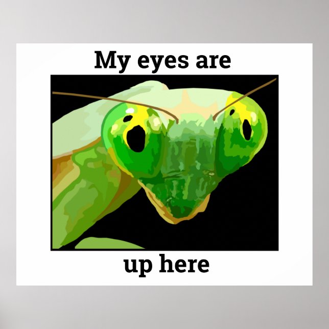 Affiche Bug 2 (Devant)