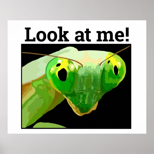 AFFICHE BUG 3 (Devant)