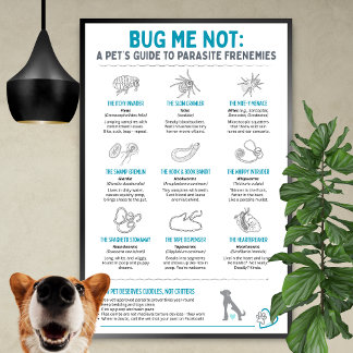 Affiche Bug Me Not - Le guide de l'animal de compagnie sur