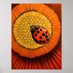 Affiche Bug Rouge Sur Une Zinnia