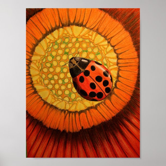 Affiche Bug Rouge Sur Une Zinnia (Devant)