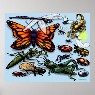 Affiche Bugs