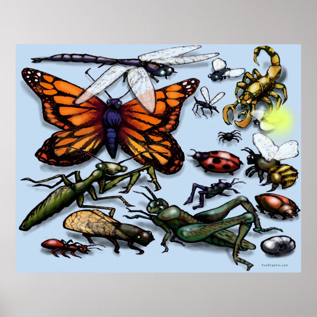 Affiche Bugs (Devant)