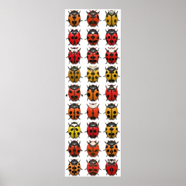 Affiche Bugs, Bugs, Bugs - Bugs Motif (Devant)