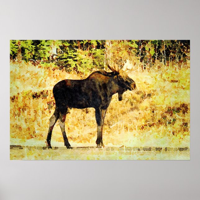 Affiche Bull Moose Standing Watercolor Peinture Faune (Devant)