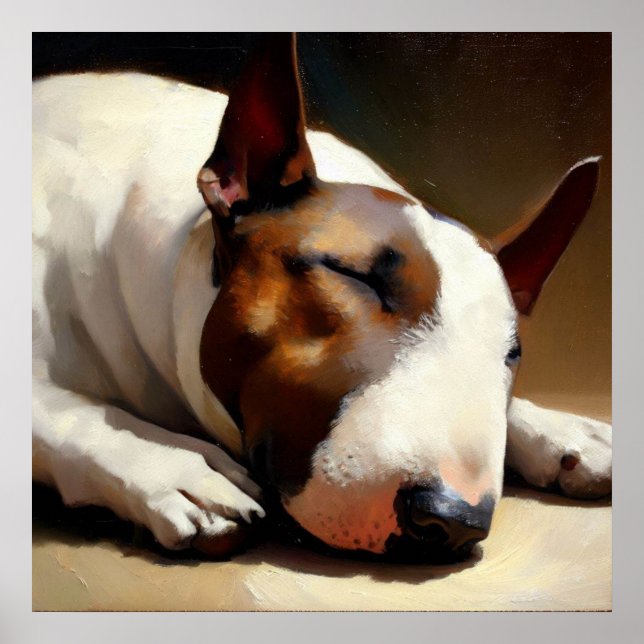 Affiche Bull terrier dog (Devant)