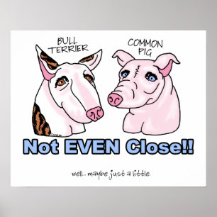 Affiche Bull Terrier PAS un porc