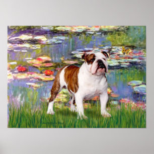 Affiche Bulldog 5 anglais - Lys