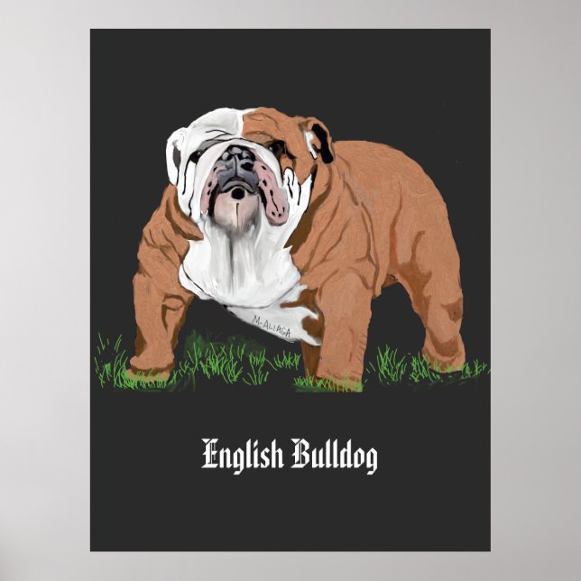 Affiche Bulldog anglais (Devant)