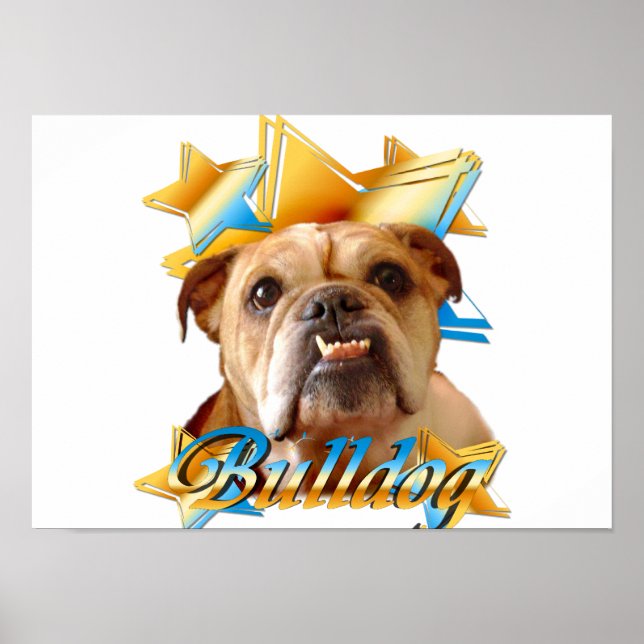 Affiche bulldog anglais (Devant)