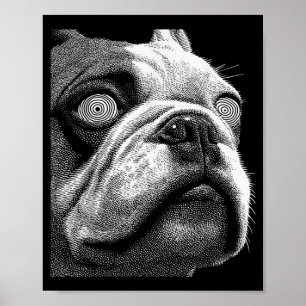 Affiche Bulldog britannique hypnotique yeux bizarres weird