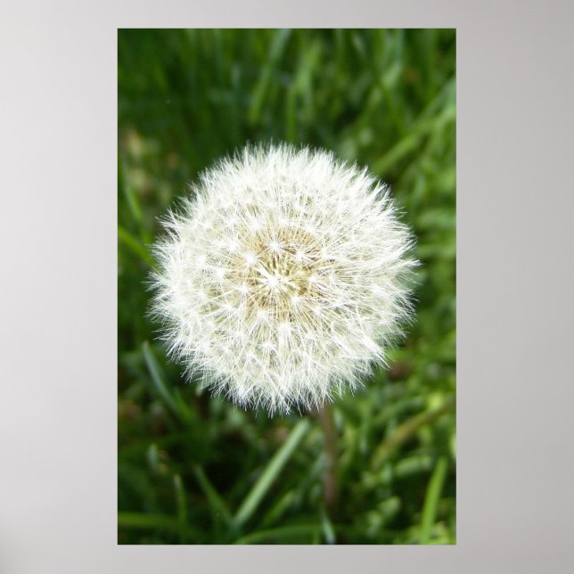 Affiche bulle (Devant)