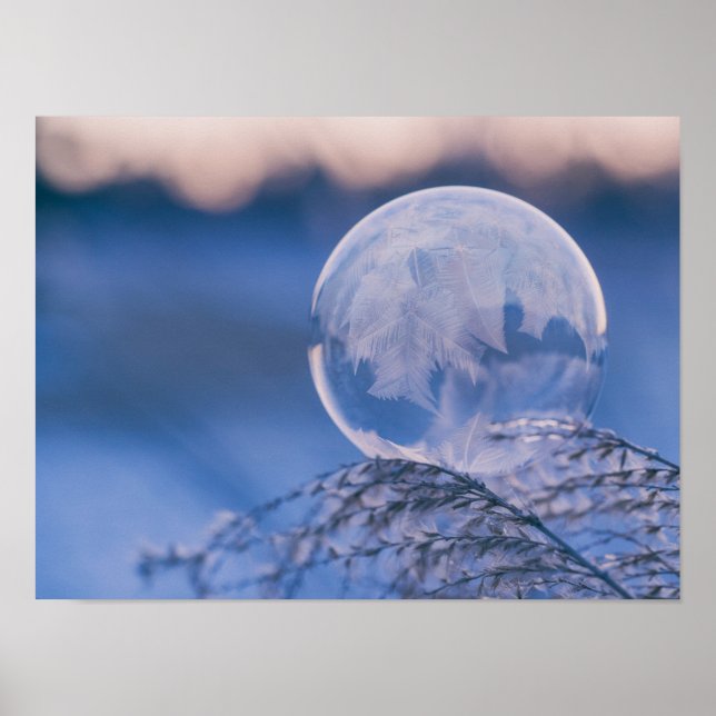 Affiche Bulle sur la feuille (Devant)