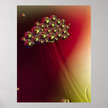 Bulles Abstraites flottantes Arrière - plan coloré