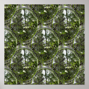 Affiche Bulles de Dogwood....