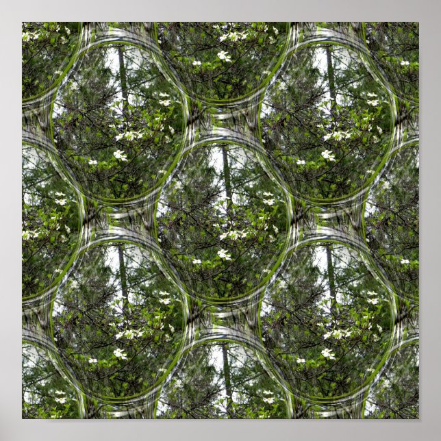 Affiche Bulles de Dogwood.... (Devant)